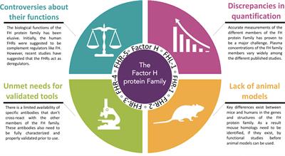 A Family Affair: Addressing the Challenges of Factor H and the Related Proteins